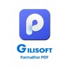 Gilisoft Formathor - 1 PC/Lifetime
